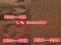 海藻籽里面的雜物應該用啥機器清除？海藻籽比重風選篩分機